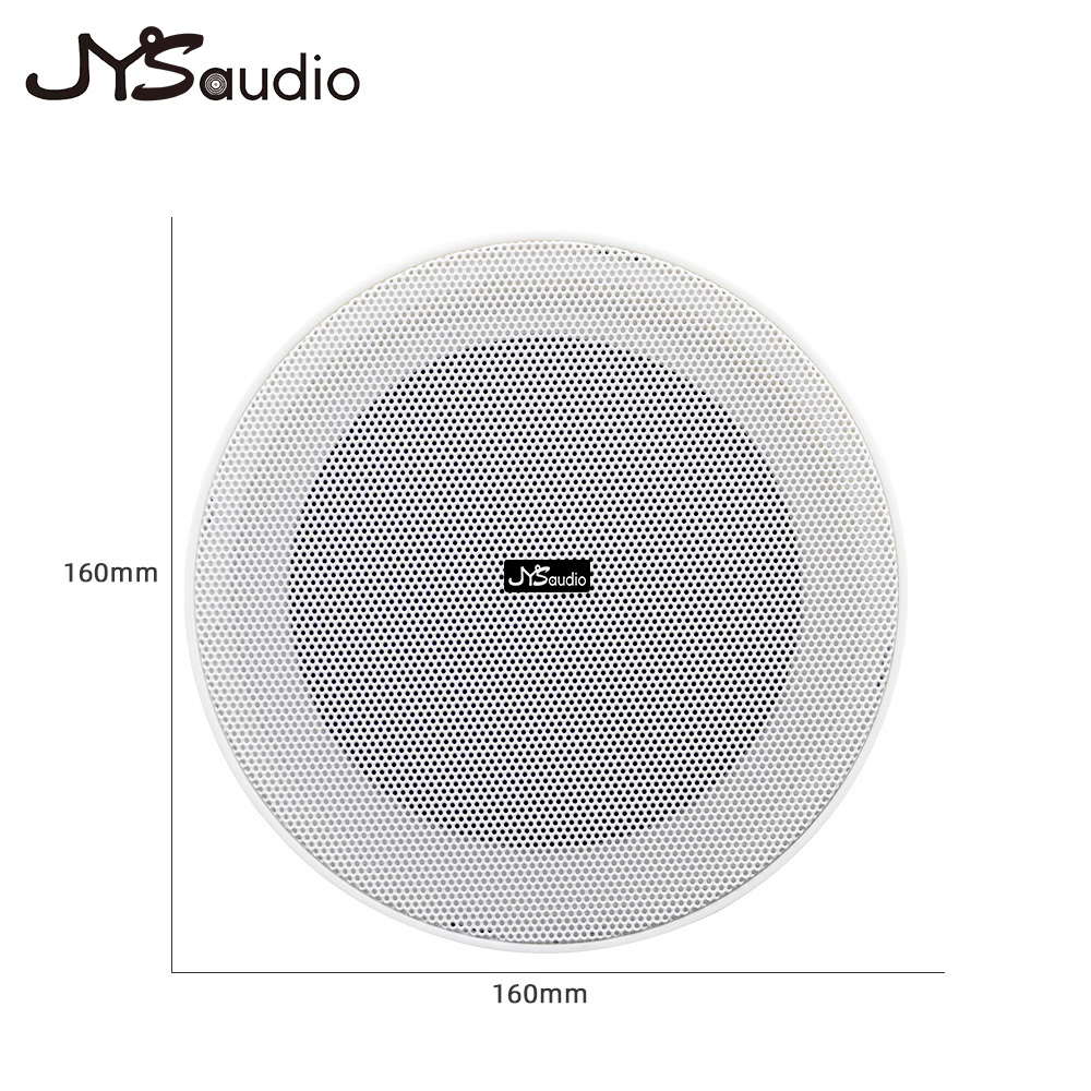 Framless Ceiling Speaker 10W 8 - Smart Home Speaker review and price