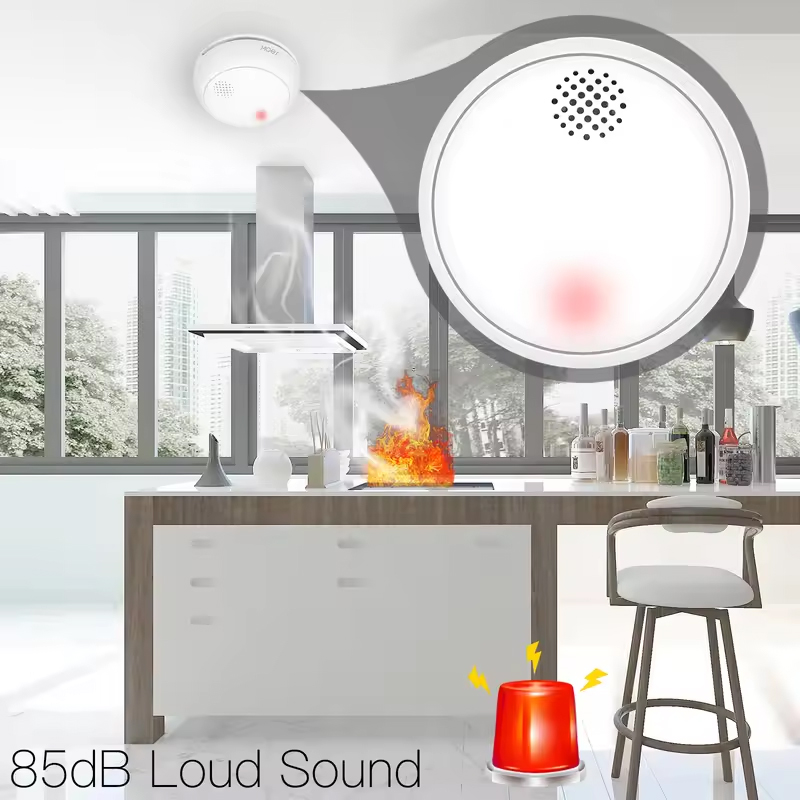 MOES ZigBee Smart Wireless Smo - Smart Smoke Detector review and price