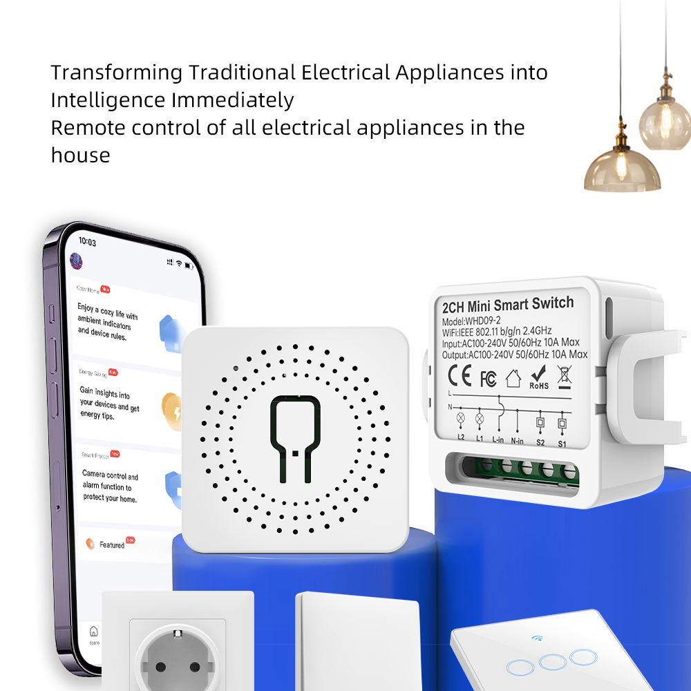 2 Way Tuya Smart Switch 2Gang  - Smart Home Google review and price